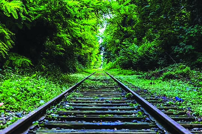 Canonie to Supervisors: Study Finds ‘Overwhelming’ Support for Rail Trail