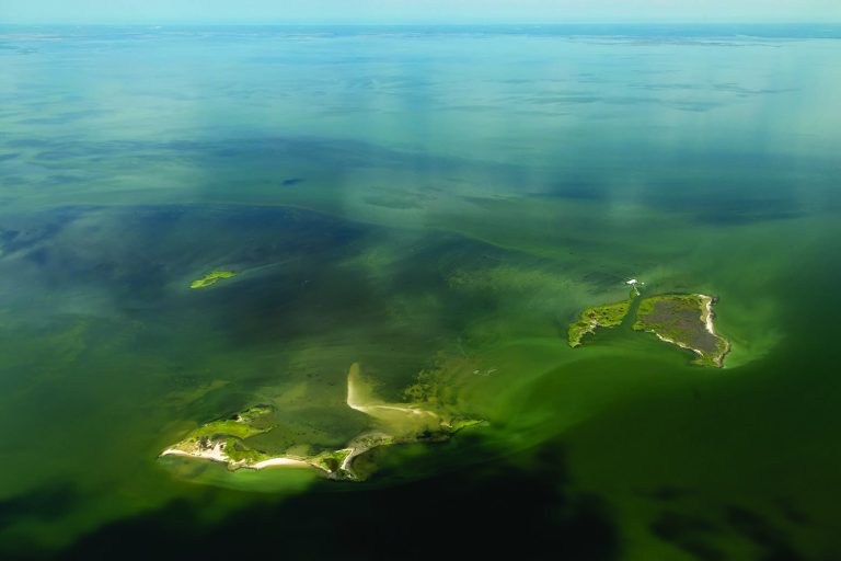 ‘Bay Barometer’ Gives Mixed Results for Bay Protection and Restoration