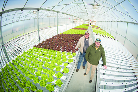 Northampton Chamber Names Shore Breeze Farms Business of the Year