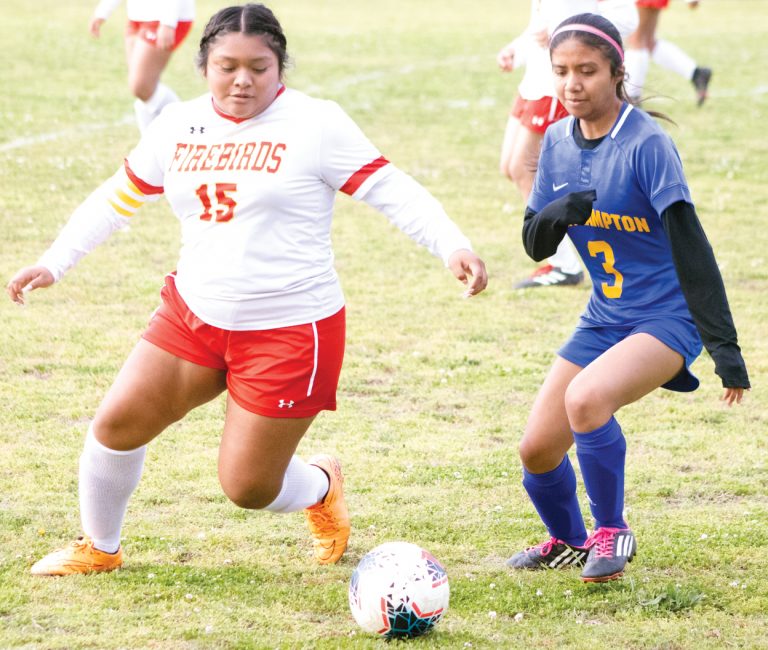 Lady Yellow Jackets Soccer Team Wins at Home Against Firebirds