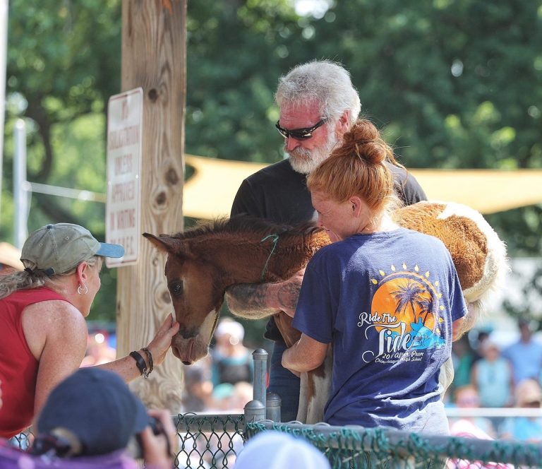 Chincoteague Pony Auction Re-Sale Gets Tennessee Family Their ‘Secret’ Pony